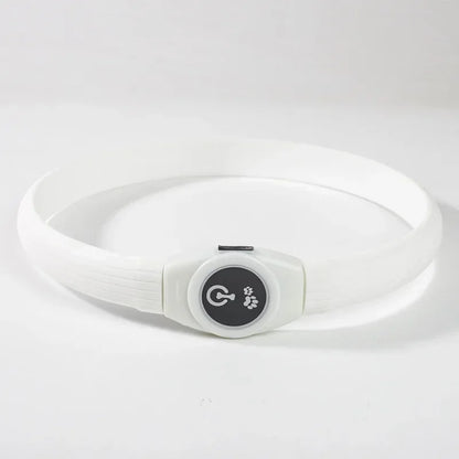 LED Luminous Dog Collar – USB Rechargeable Waterproof Night Safety Collar