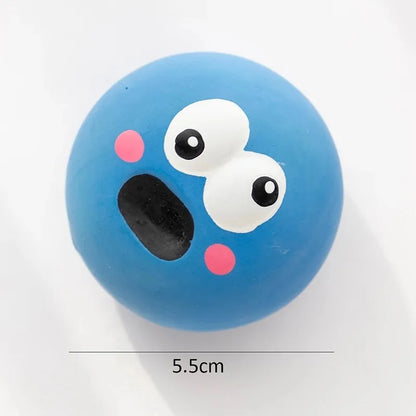 Pet Squeaky Chew Ball – Rubber Dog Toy for Chewing & Teeth Cleaning